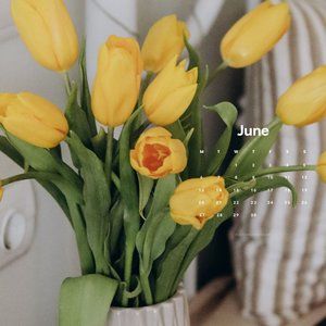 Meet your Posher, Gunika